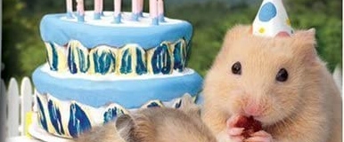 Banner Petz Hamsterz 2