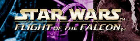 Banner Star Wars Flight of The Falcon