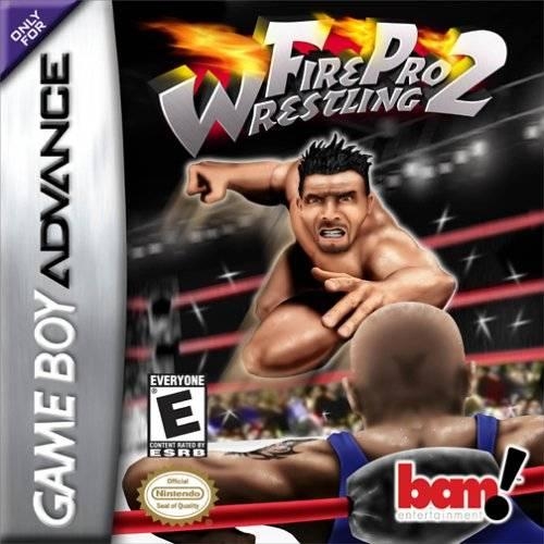 Boxshot Fire Pro Wrestling 2