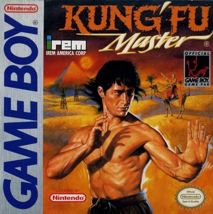 Boxshot Kung-Fu Master