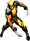 Afbeeldingen voor  X-Men Wolverines Rage