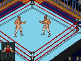 Fire Pro Wrestling 2: Screenshot