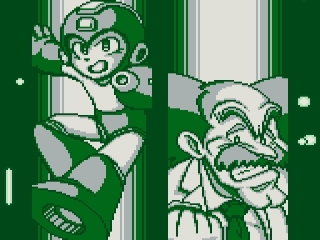 Mega Man IV: Afbeelding met speelbare characters