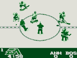 NHL Hockey 95: Screenshot