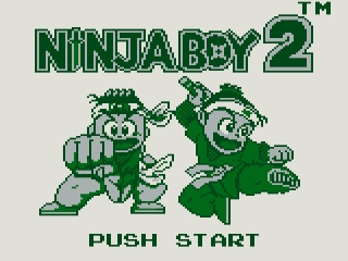 Ninja Boy 2: Afbeelding met speelbare characters