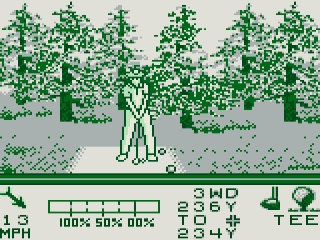 PGA Tour 96: Screenshot