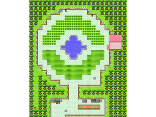 National Park 2 (above Goldenrod City), where you can participate in Pokémon contests.