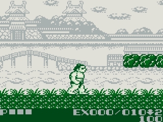 Sumo Fighter: Screenshot