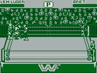 afbeeldingen voor WWF Raw